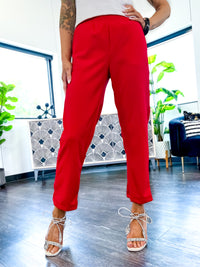 Higher Standards Pants | Red - The ZigZag Stripe