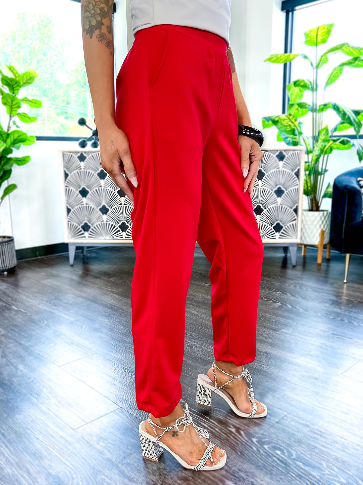 Higher Standards Pants | Red - The ZigZag Stripe