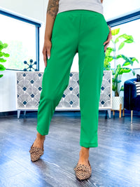 Higher Standards Pants | Green - The ZigZag Stripe