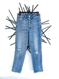 Risen RDP5119L Jeans - The ZigZag Stripe